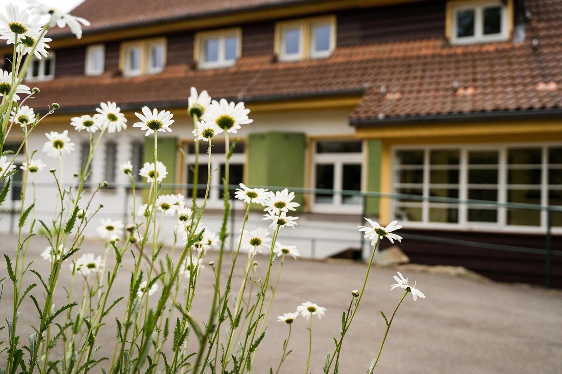 Pension Zum Hexenstieg Schierke Εξωτερικό φωτογραφία